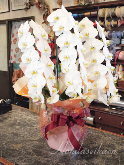 花鉢　21,000円商品例